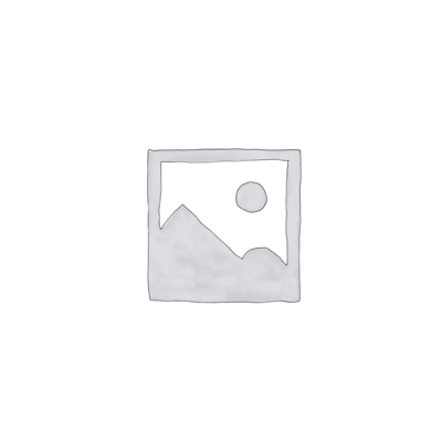 SAP Basis Developer